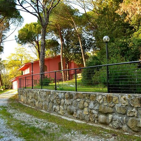 Agriturismo Poggio Al Pino Montelupo Fiorentino Dış mekan fotoğraf