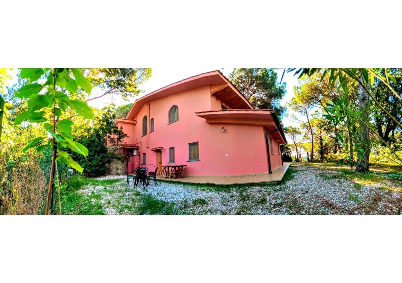 Agriturismo Poggio Al Pino Montelupo Fiorentino Dış mekan fotoğraf