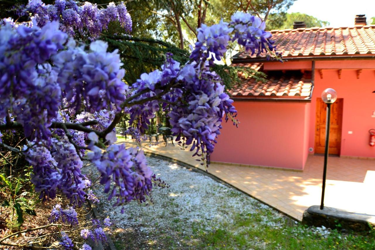 Agriturismo Poggio Al Pino Montelupo Fiorentino Dış mekan fotoğraf