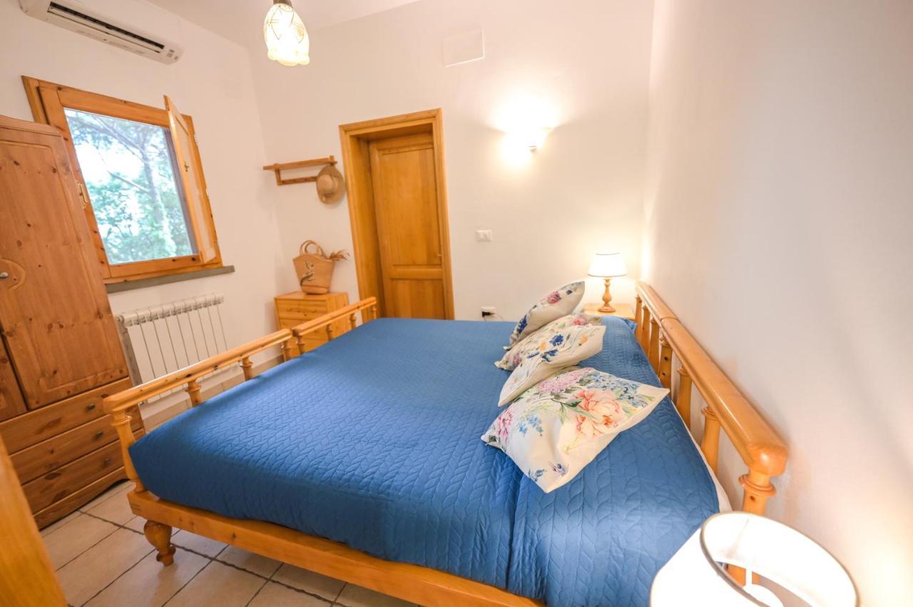 Agriturismo Poggio Al Pino Montelupo Fiorentino Dış mekan fotoğraf