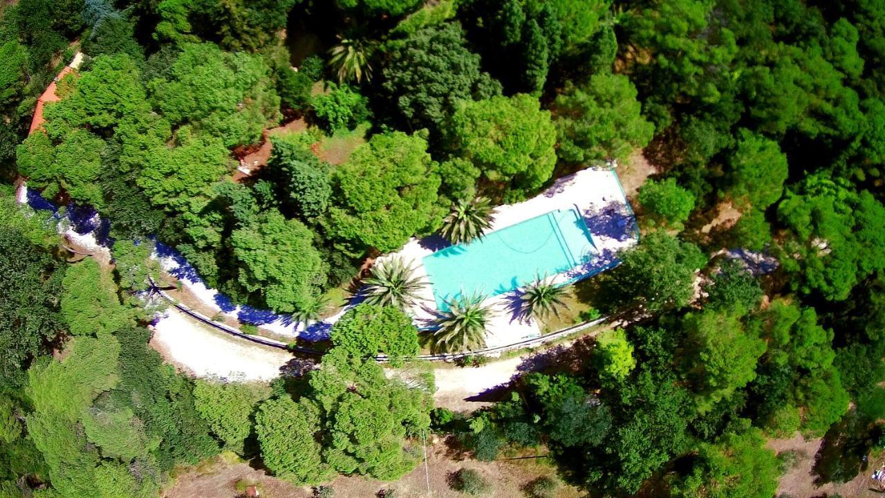 Agriturismo Poggio Al Pino Montelupo Fiorentino Dış mekan fotoğraf