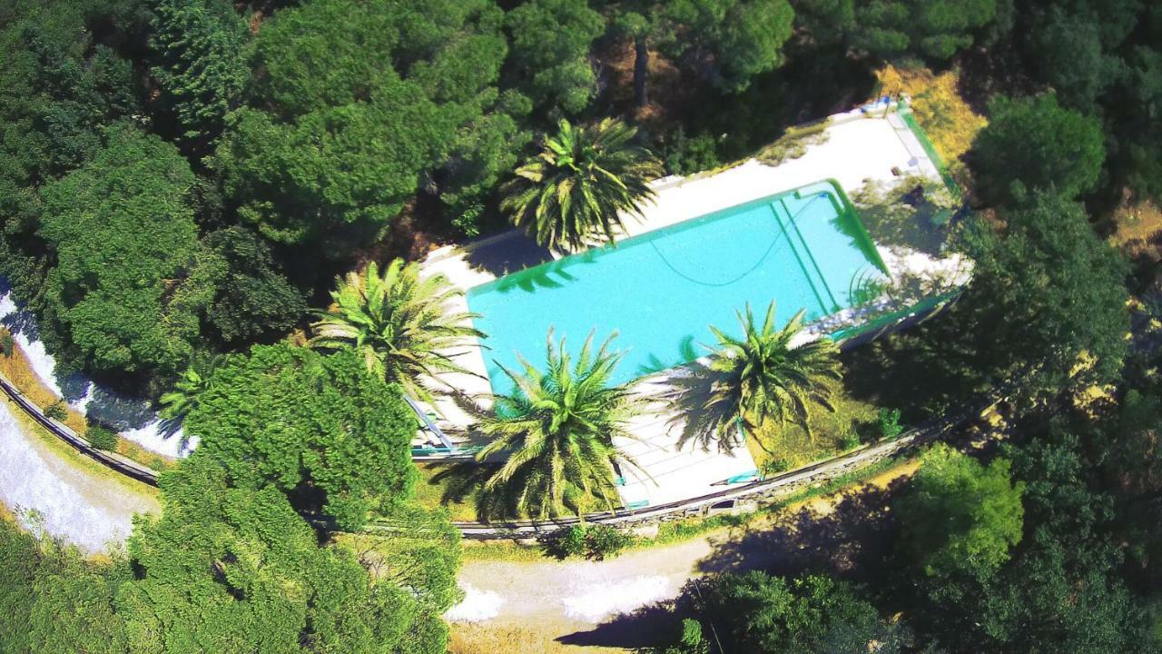 Agriturismo Poggio Al Pino Montelupo Fiorentino Dış mekan fotoğraf