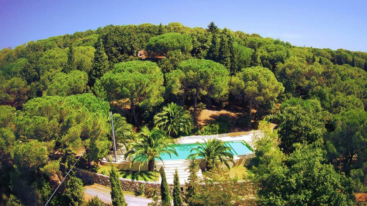 Agriturismo Poggio Al Pino Montelupo Fiorentino Dış mekan fotoğraf